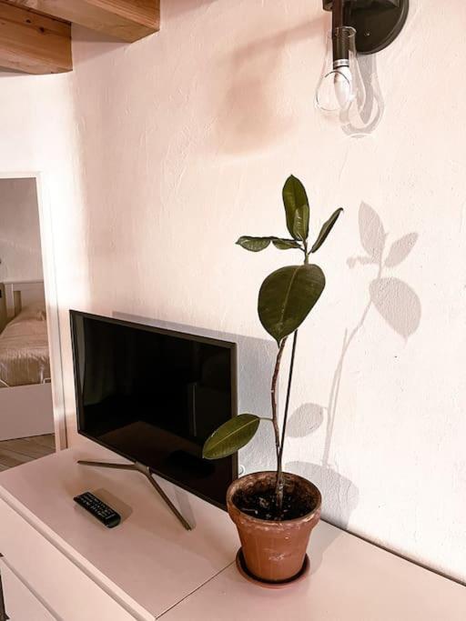 Appartement La Petite Croix à Aoste Extérieur photo